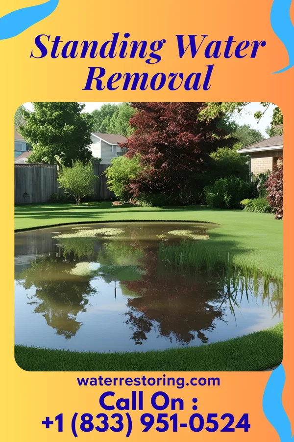 Standing Water Removal in Lake Tapawingo, MO